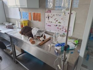 Dan škole 2026. Petrinja