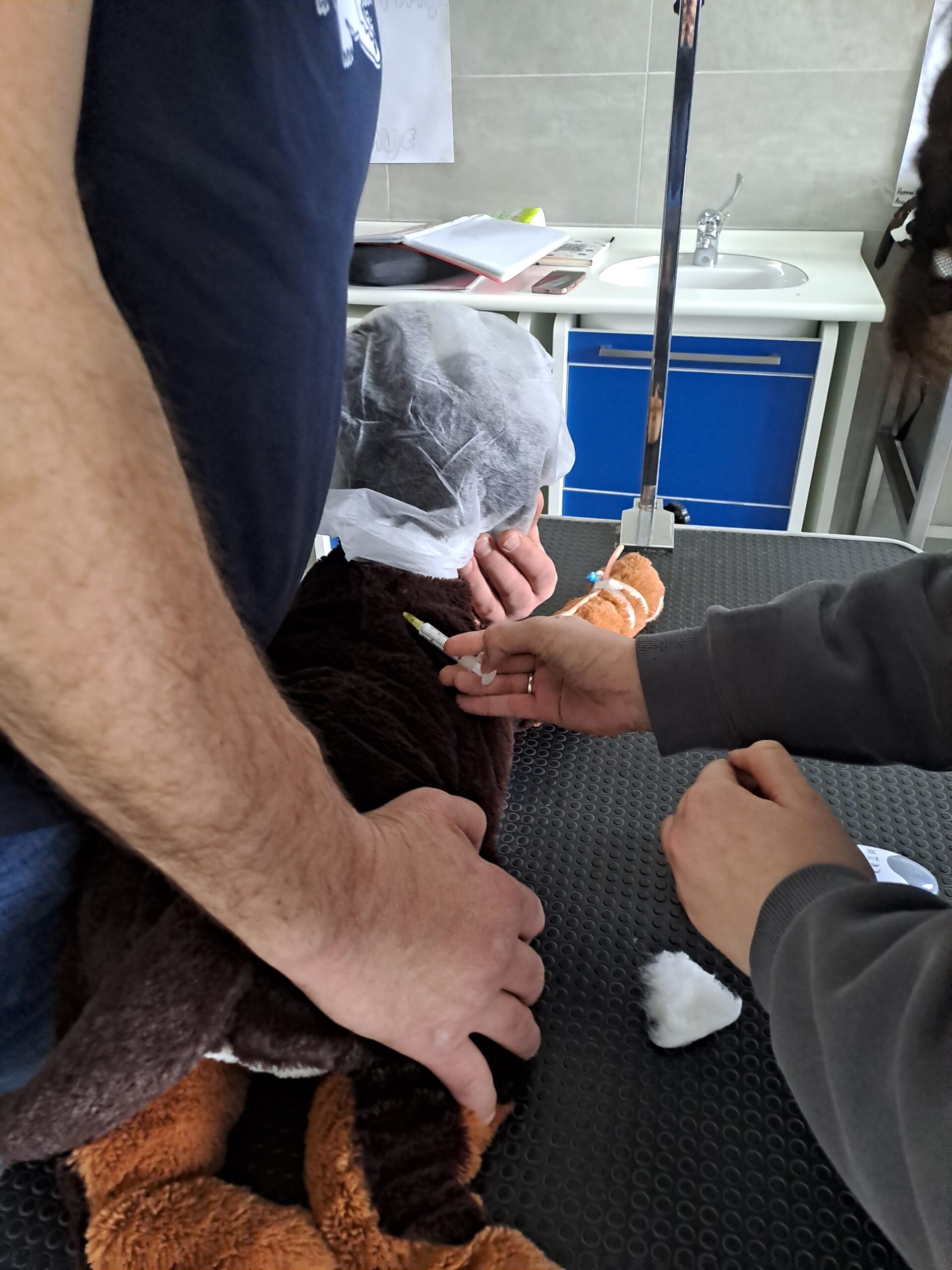 Dan škole 2026. Petrinja