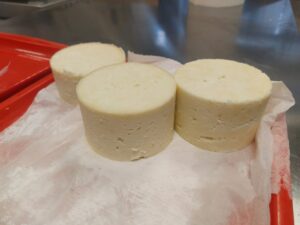 Mljekarski praktikum