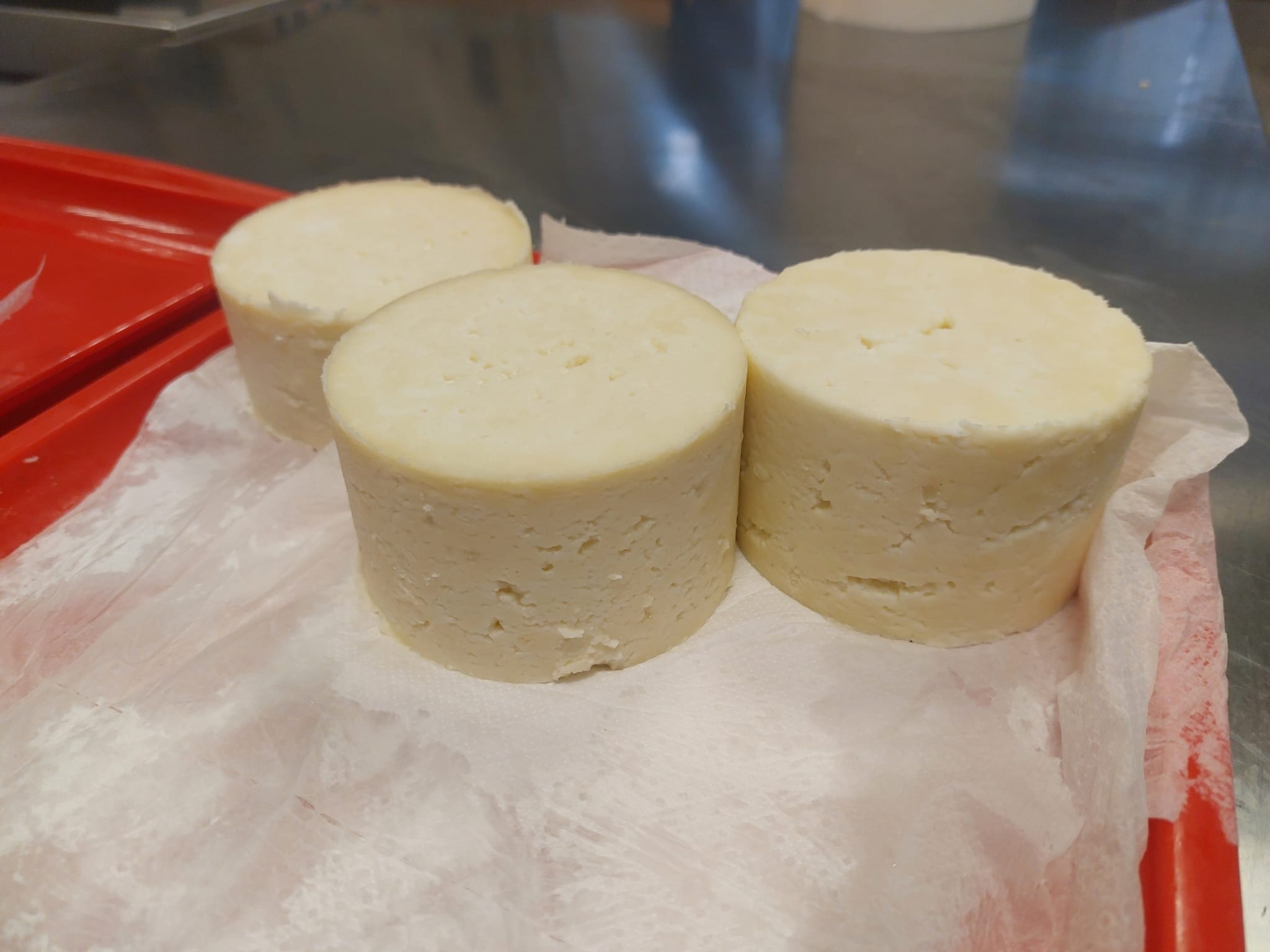 Mljekarski praktikum