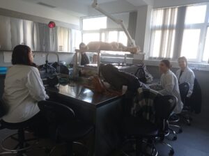 Školsko natjecanje World Skills Croatia