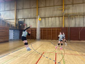 Županijsko natjecanje odbojka