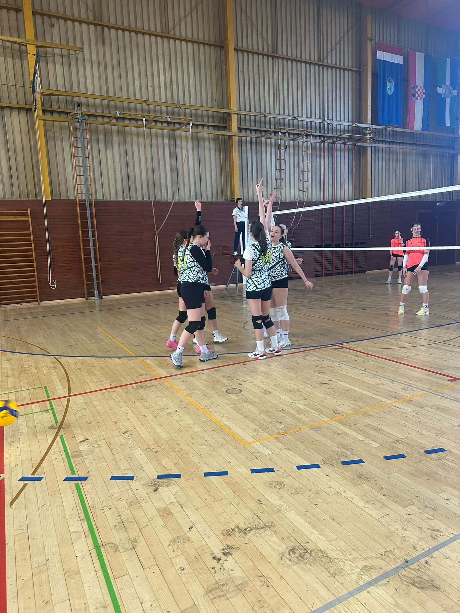 Županijsko natjecanje odbojka