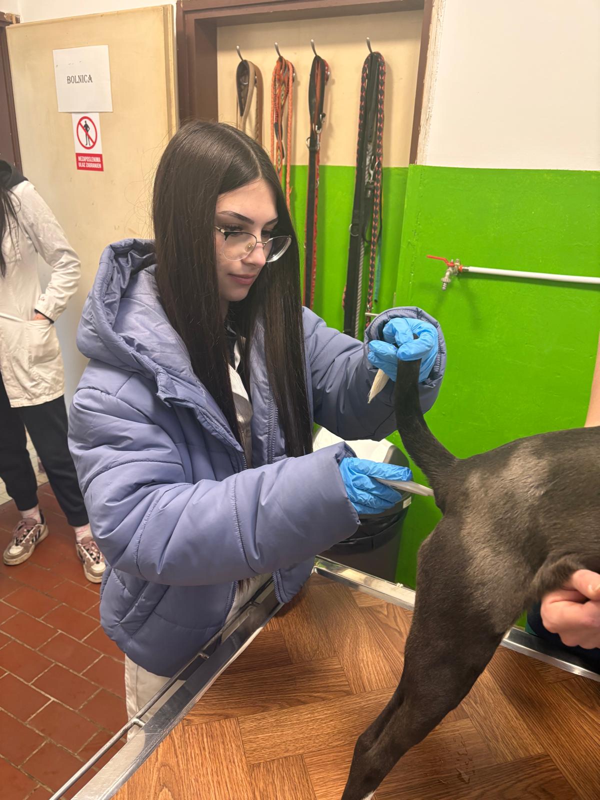 VETERINARSKI TEHNIČARI U POSJETU SKLONIŠTU ZA NEZBRINUTE ŽIVOTINJE SISAK