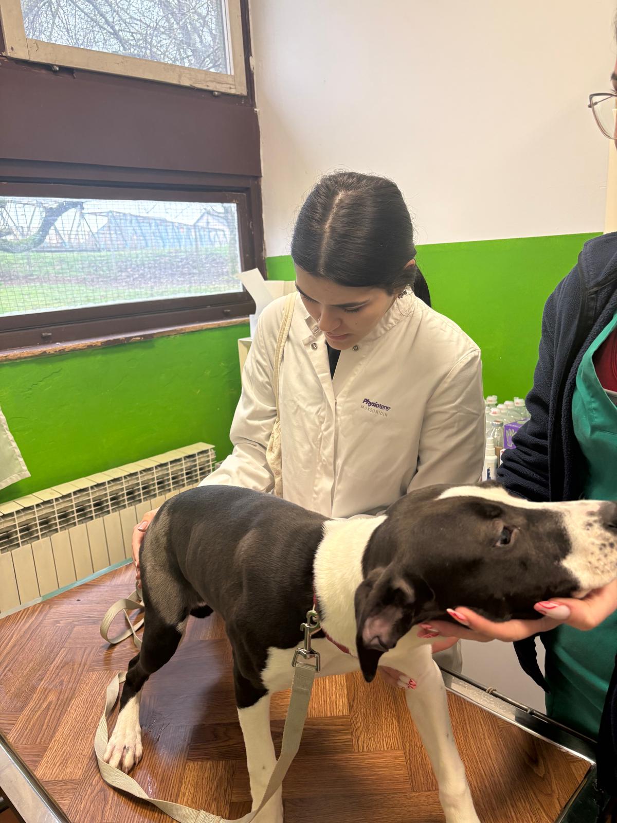 VETERINARSKI TEHNIČARI U POSJETU SKLONIŠTU ZA NEZBRINUTE ŽIVOTINJE SISAK