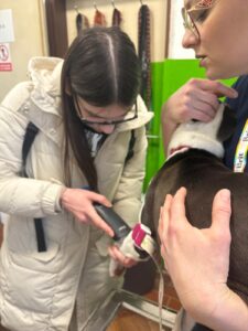 VETERINARSKI TEHNIČARI U POSJETU SKLONIŠTU ZA NEZBRINUTE ŽIVOTINJE SISAK