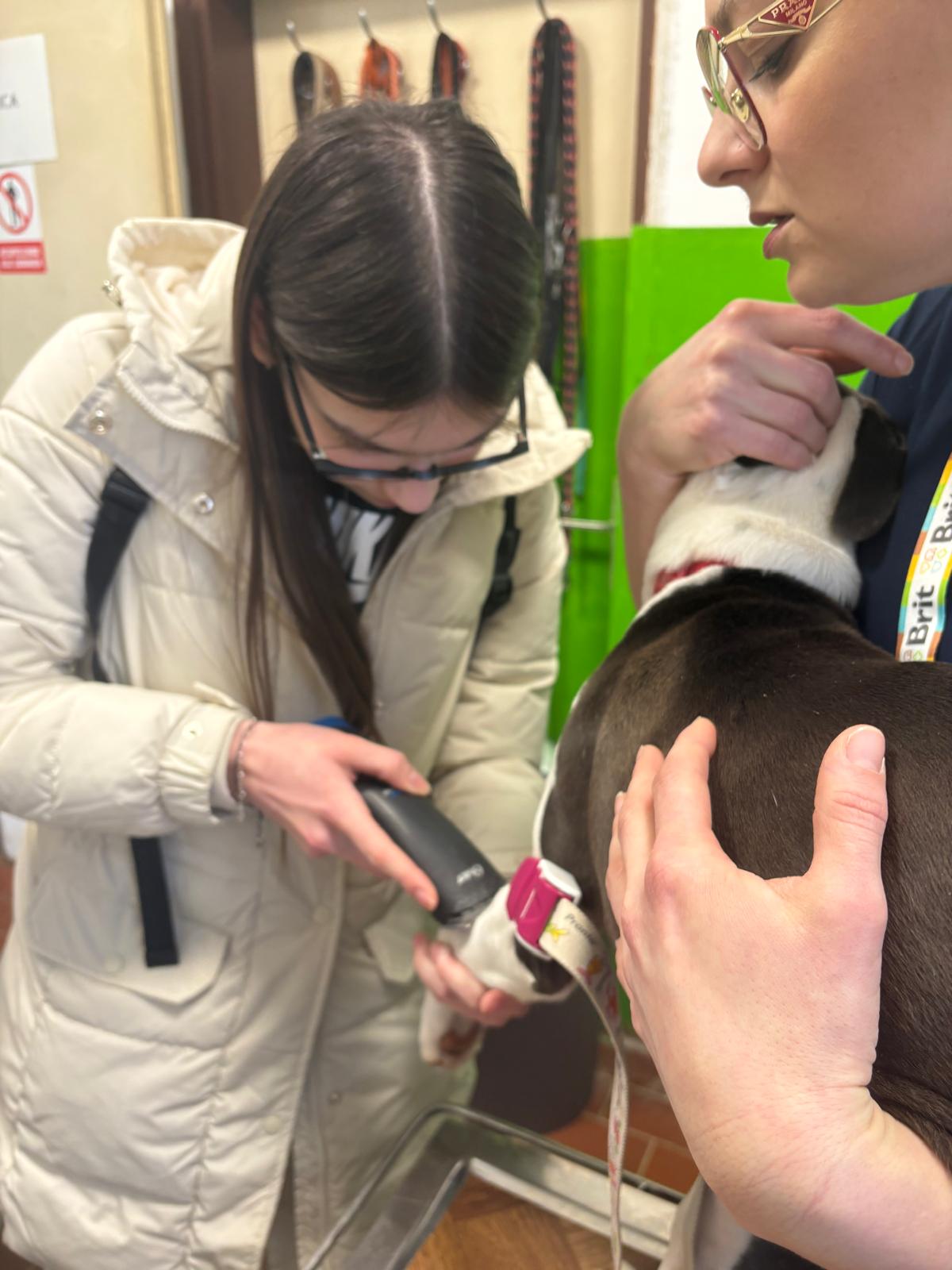 VETERINARSKI TEHNIČARI U POSJETU SKLONIŠTU ZA NEZBRINUTE ŽIVOTINJE SISAK