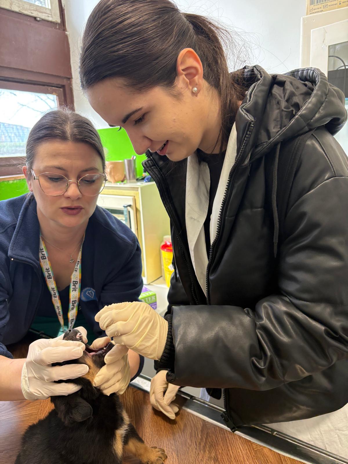 VETERINARSKI TEHNIČARI U POSJETU SKLONIŠTU ZA NEZBRINUTE ŽIVOTINJE SISAK