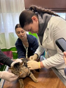 VETERINARSKI TEHNIČARI U POSJETU SKLONIŠTU ZA NEZBRINUTE ŽIVOTINJE SISAK