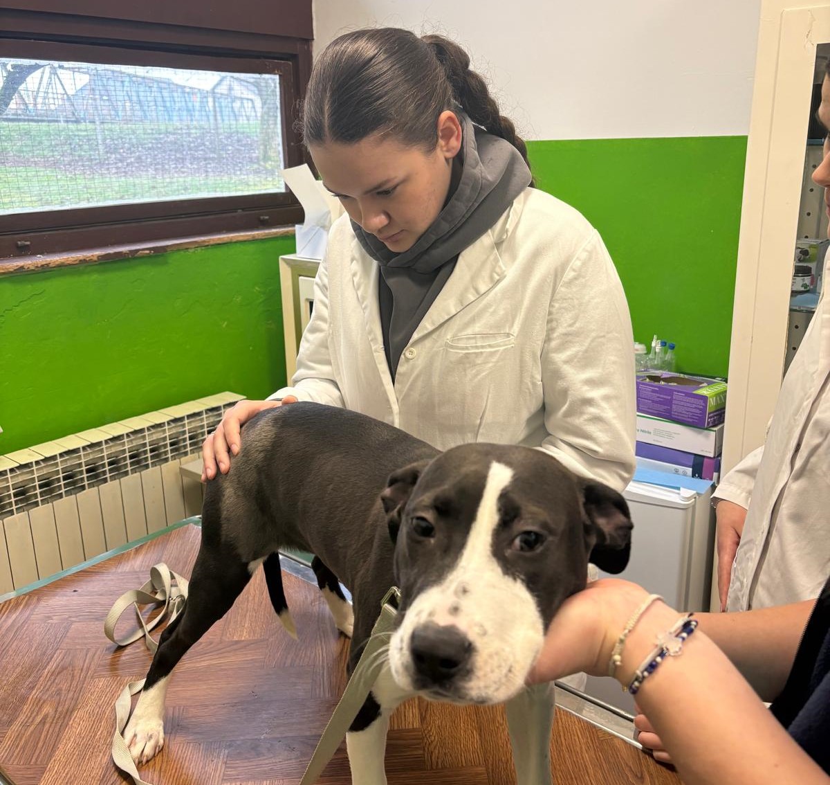 VETERINARSKI TEHNIČARI U POSJETU SKLONIŠTU ZA NEZBRINUTE ŽIVOTINJE SISAK