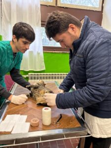 VETERINARSKI TEHNIČARI U POSJETU SKLONIŠTU ZA NEZBRINUTE ŽIVOTINJE SISAK