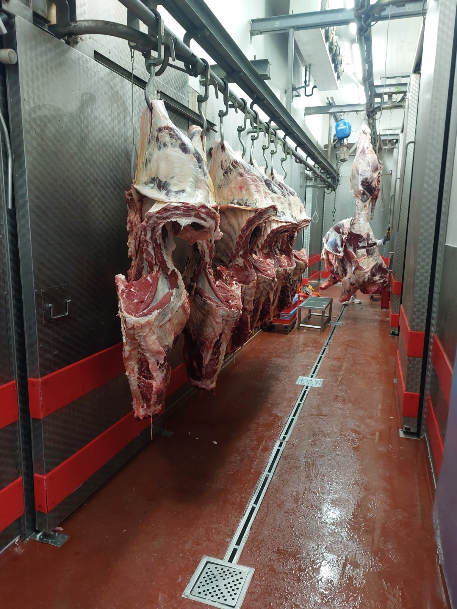 STRUČNI POSJET MESARA KLAONICI MARTINJAK