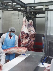 STRUČNI POSJET MESARA KLAONICI MARTINJAK