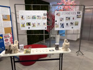 PRUŽIMO ŠAPU ONIMA KOJI NEMAJU GLAS