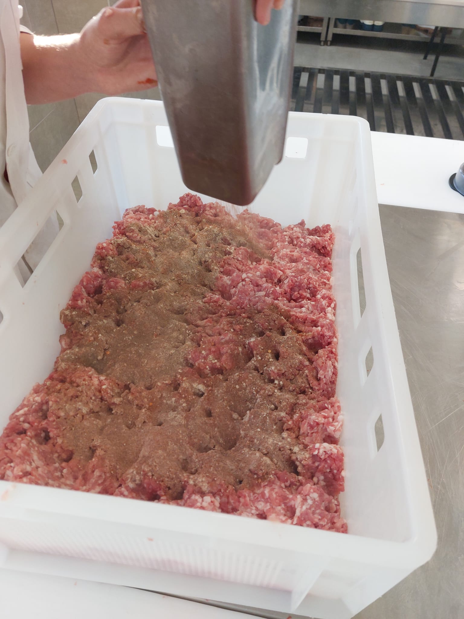 PRIČE IZ MESARSKOG PRAKTIKUMA