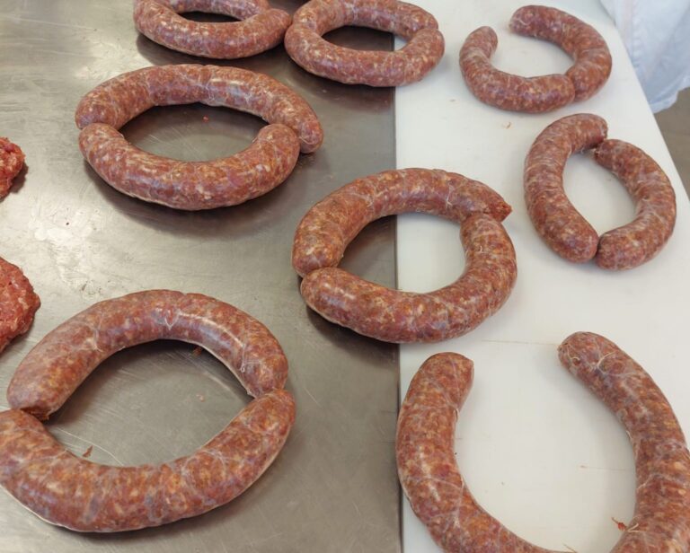 PRIČE IZ MESARSKOG PRAKTIKUMA