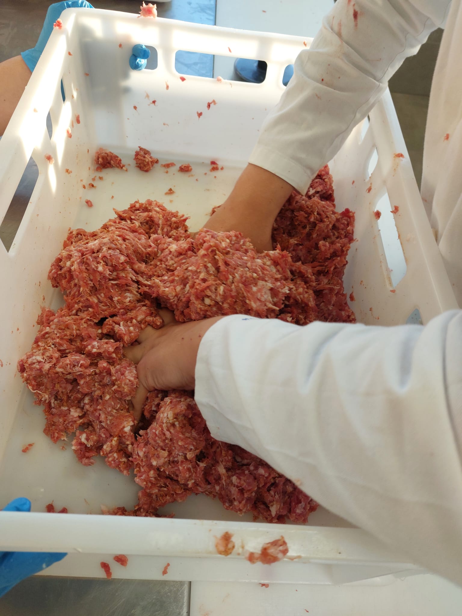 PRIČE IZ MESARSKOG PRAKTIKUMA