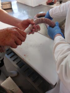 PRIČE IZ MESARSKOG PRAKTIKUMA