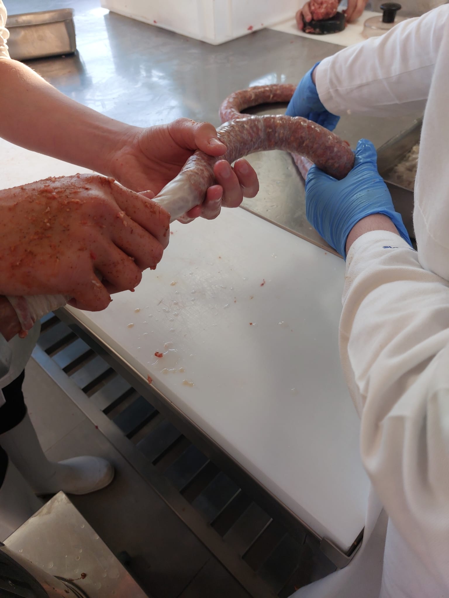 PRIČE IZ MESARSKOG PRAKTIKUMA