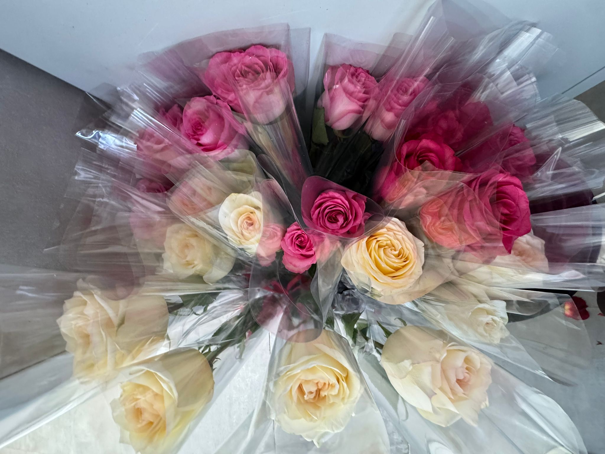 DAN ŽENA U NAŠOJ ŠKOLI