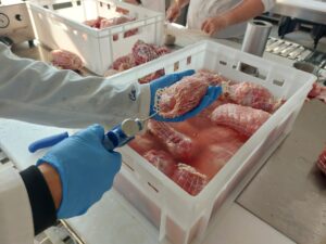 PRIPREME ZA USKRS KOD MESARA