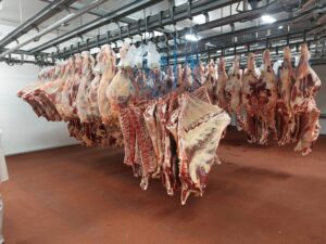 ERASMUS+ MESARI - DNEVNIK PUTOVANJA