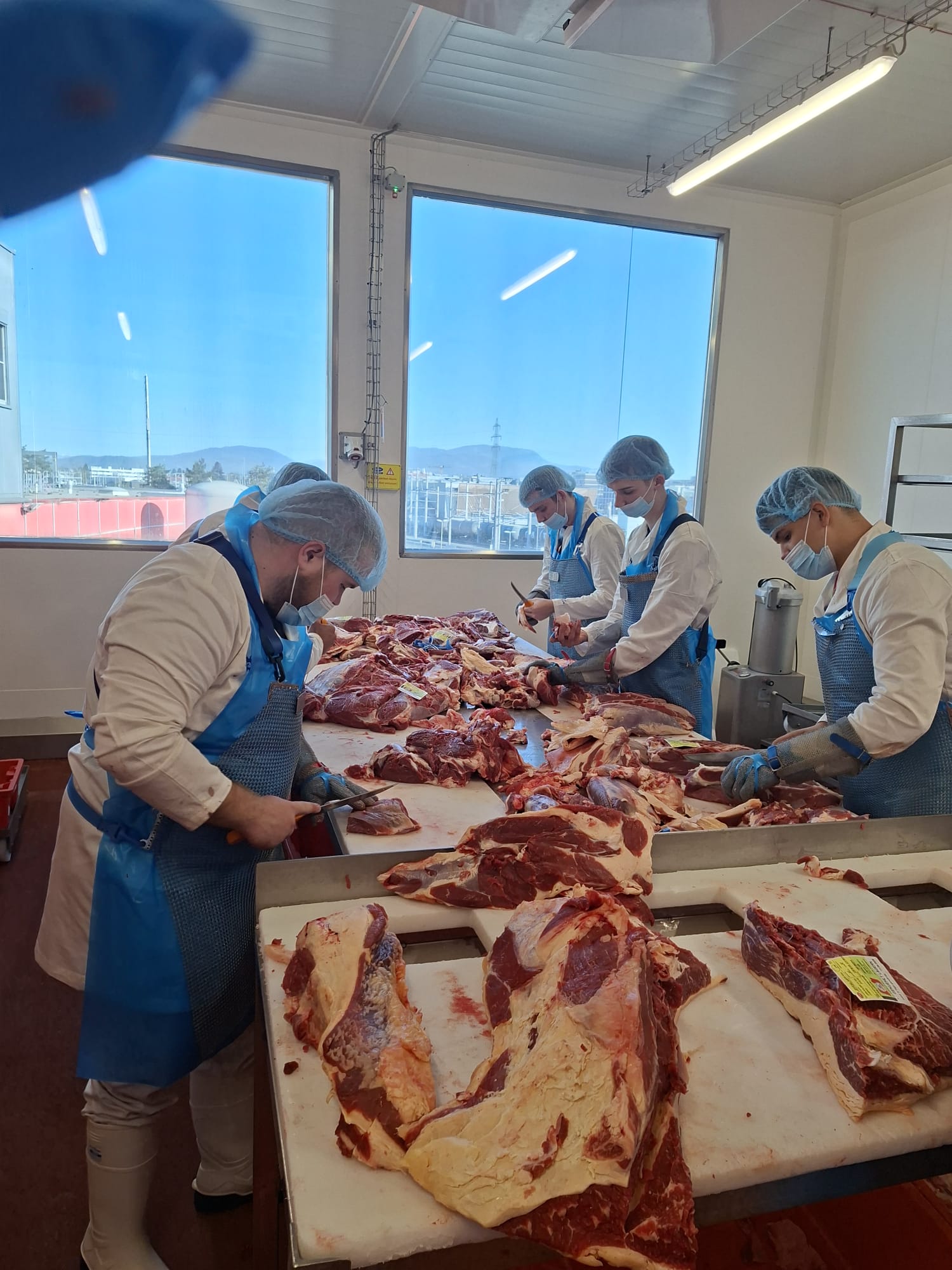 ERASMUS+ MESARI - DNEVNIK PUTOVANJA