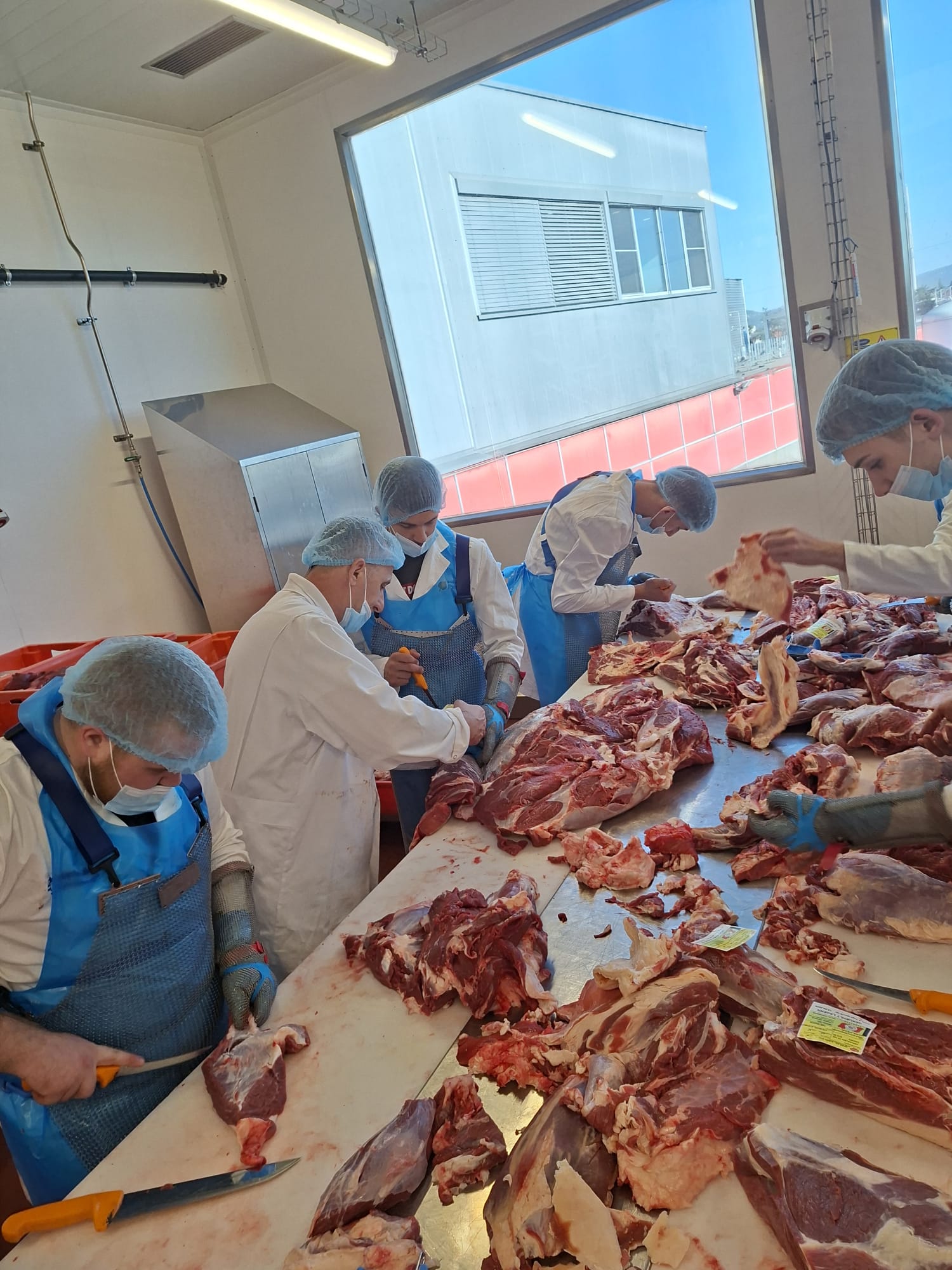 ERASMUS+ MESARI - DNEVNIK PUTOVANJA