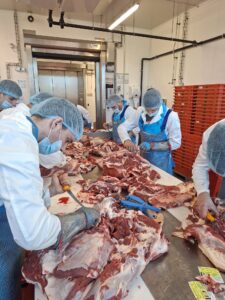 ERASMUS+ MESARI - DNEVNIK PUTOVANJA