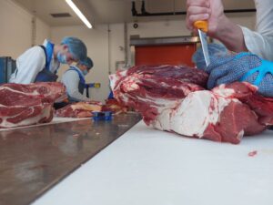 ERASMUS+ MESARI - DNEVNIK PUTOVANJA (III.dio)