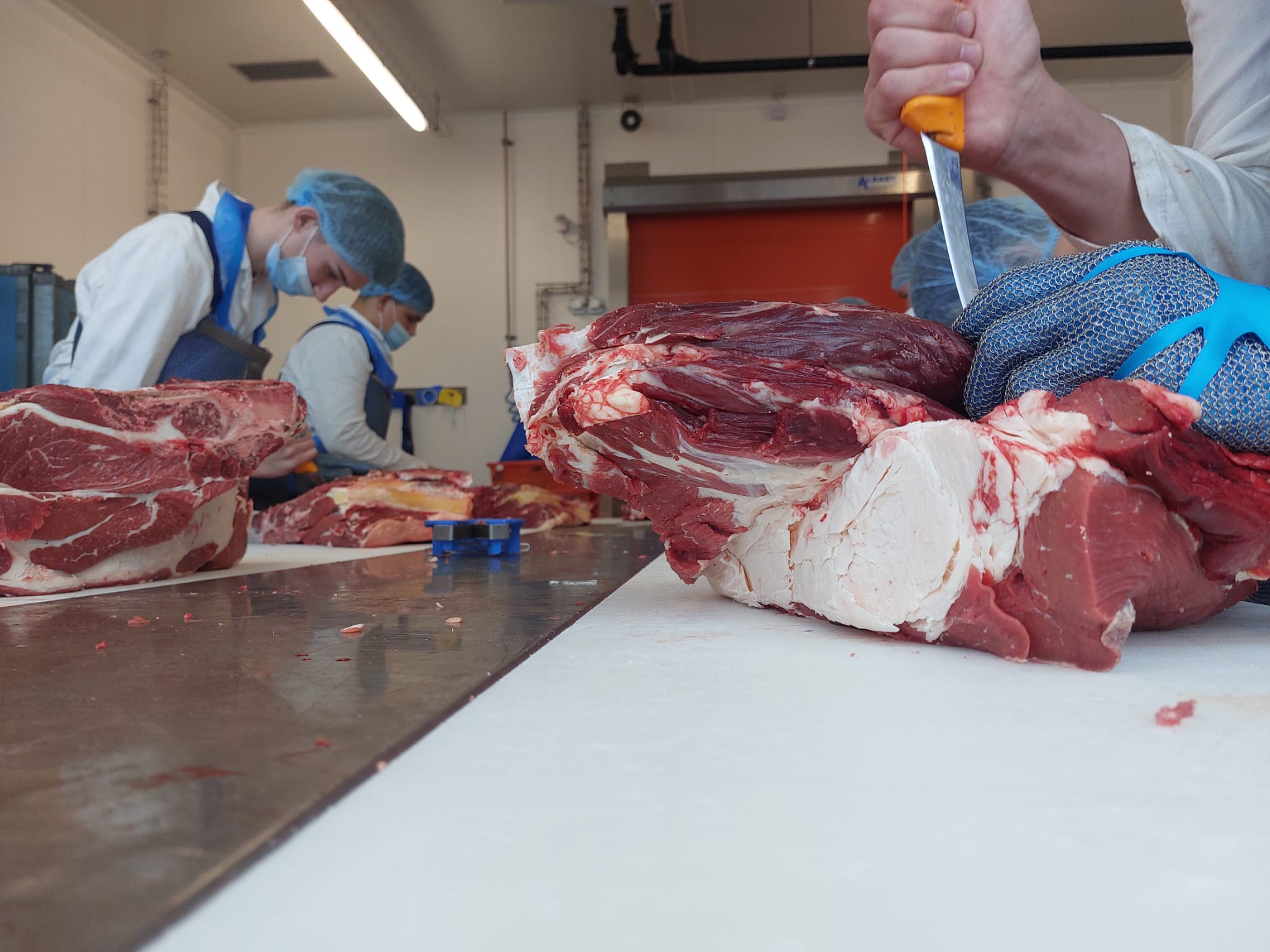 ERASMUS+ MESARI - DNEVNIK PUTOVANJA (III.dio)