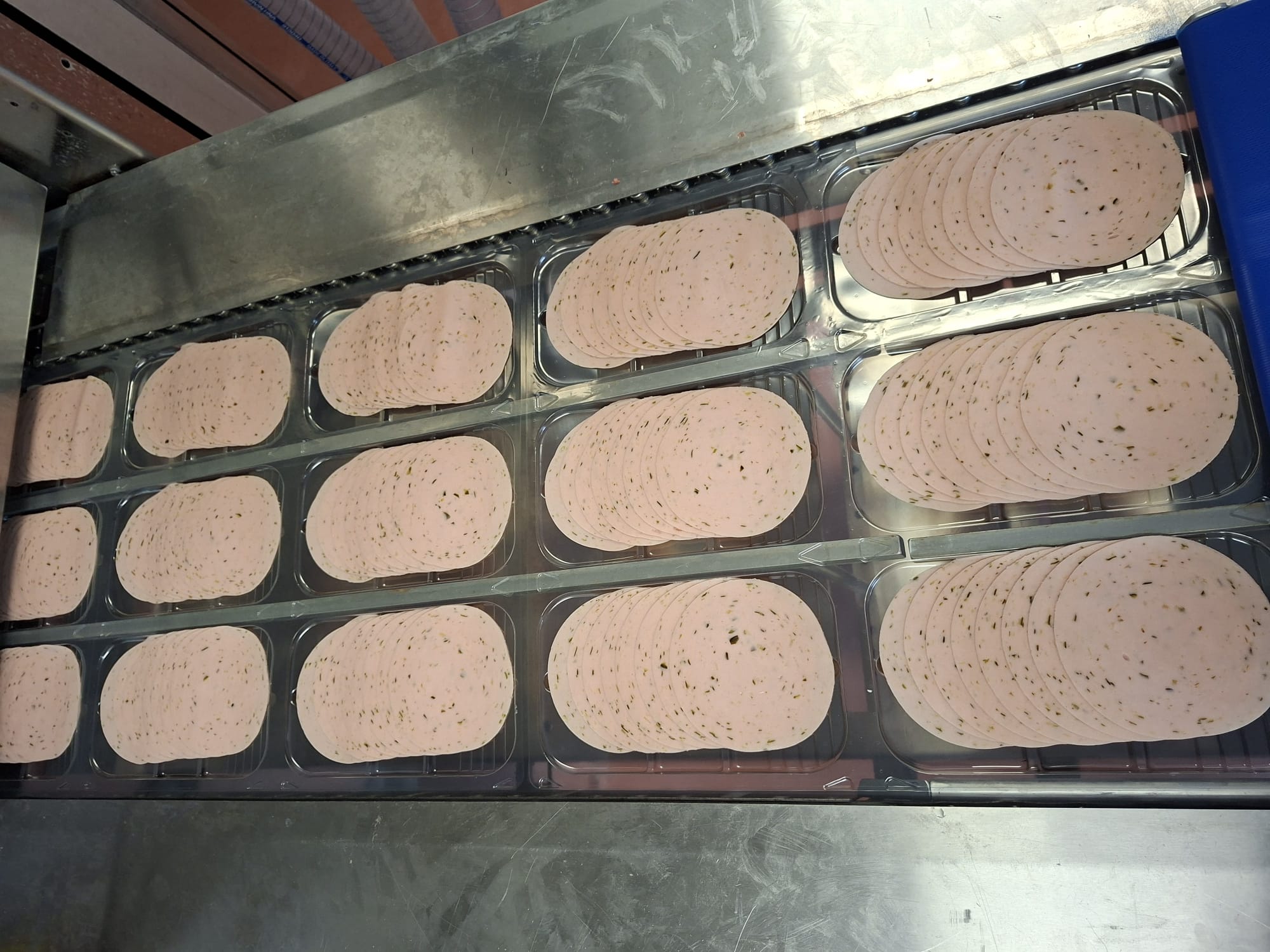 ERASMUS+ MESARI - DNEVNIK PUTOVANJA (IV. dio)