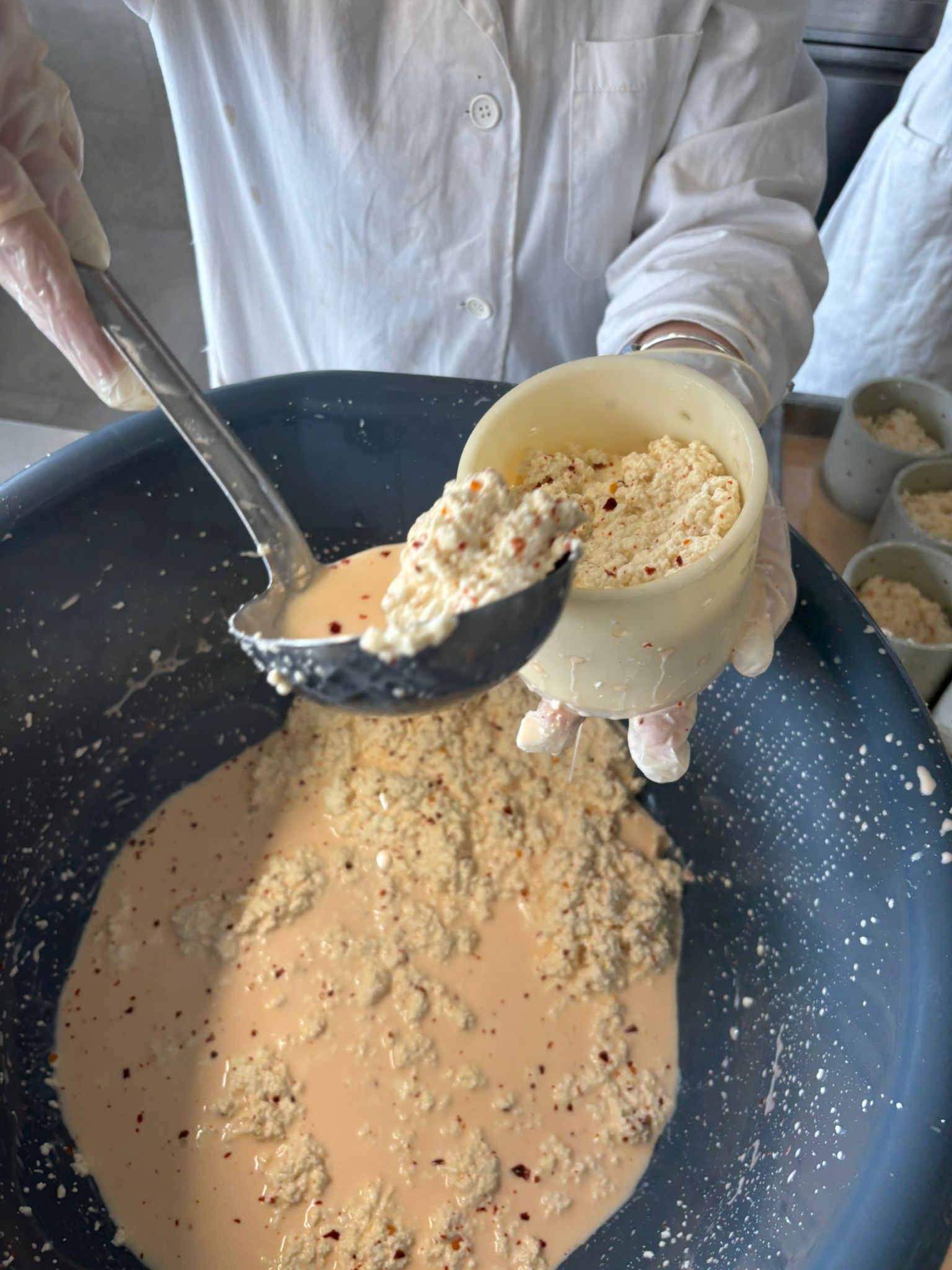 PROIZVODNJA KUHANOG KRAVLJEG SIRA U MLJEKARSKOM PRAKTIKUMU