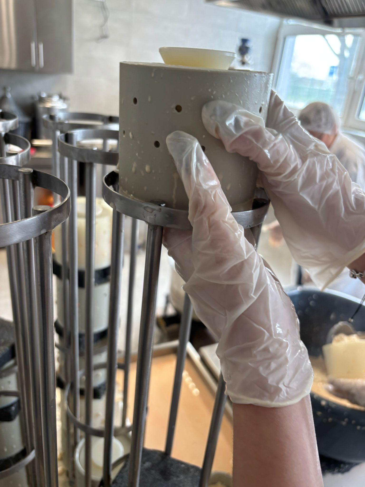 PROIZVODNJA KUHANOG KRAVLJEG SIRA U MLJEKARSKOM PRAKTIKUMU