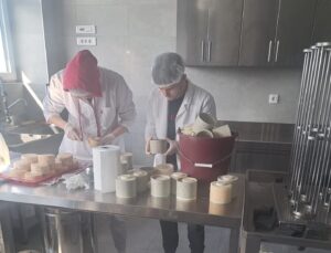 PROIZVODNJA KUHANOG KRAVLJEG SIRA U MLJEKARSKOM PRAKTIKUMU