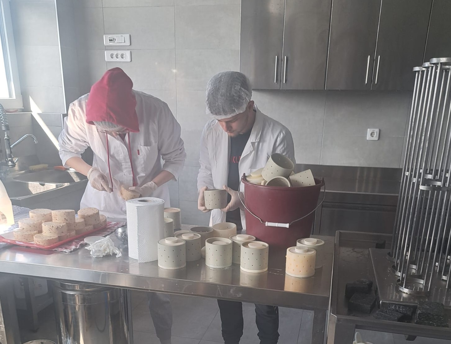 PROIZVODNJA KUHANOG KRAVLJEG SIRA U MLJEKARSKOM PRAKTIKUMU