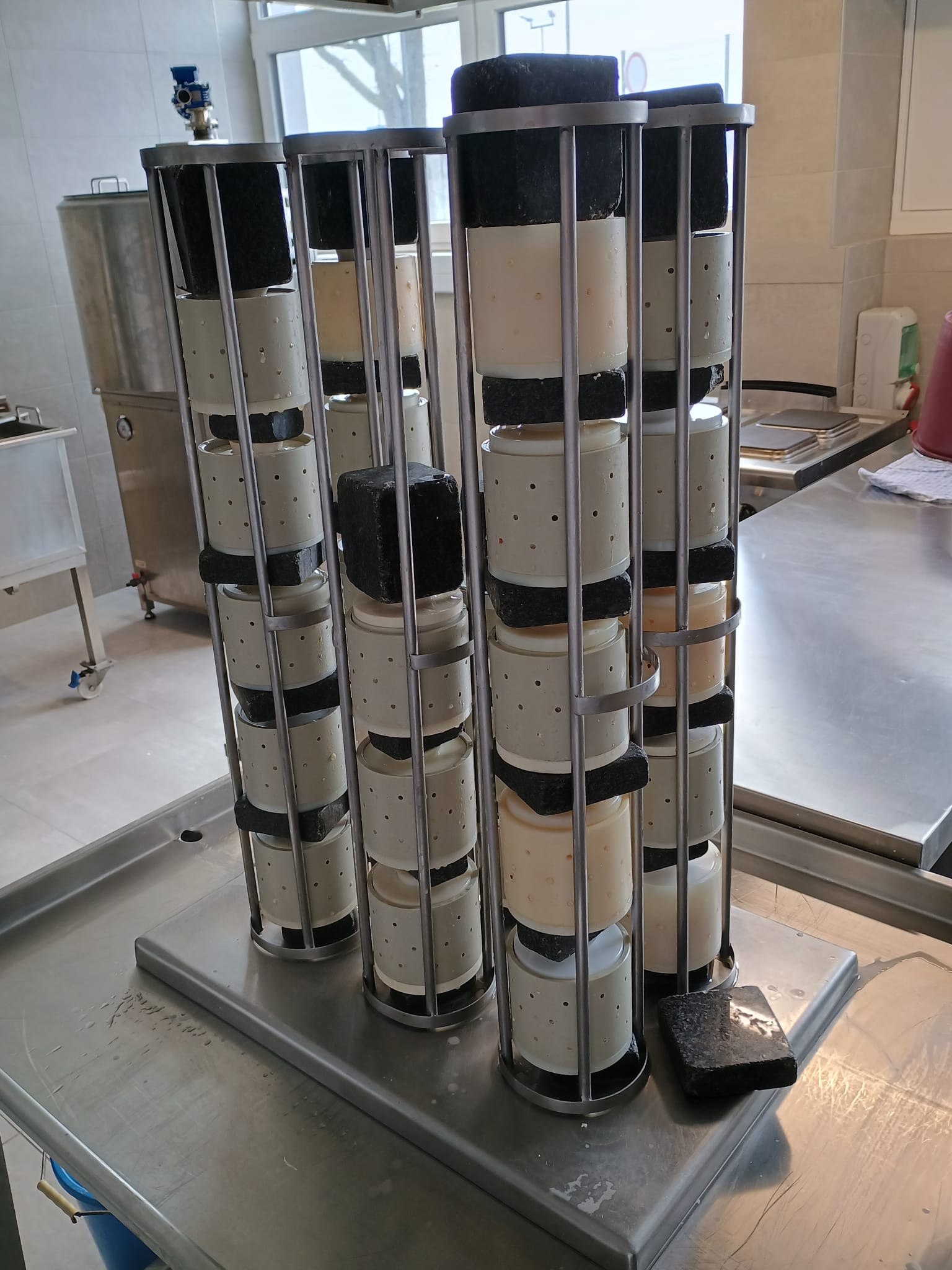 PROIZVODNJA KUHANOG KRAVLJEG SIRA U MLJEKARSKOM PRAKTIKUMU