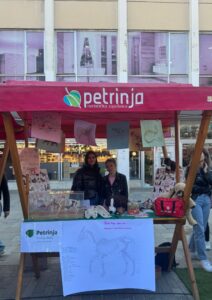 FESTIVAL SREDNJIH ŠKOLA SMŽ