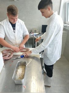 Nove priče iz mesarskog praktikuma