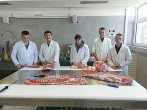 Nove priče iz mesarskog praktikuma