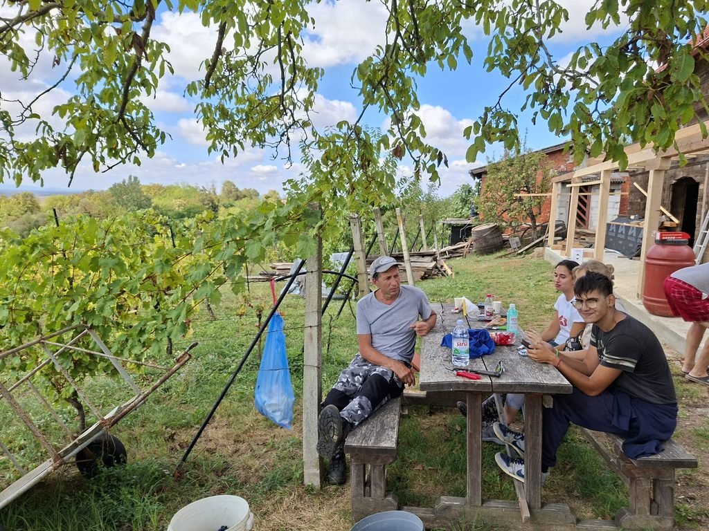 BERBA I PRERADA GROŽĐA 🍇🍷 img 20260923 wa0016