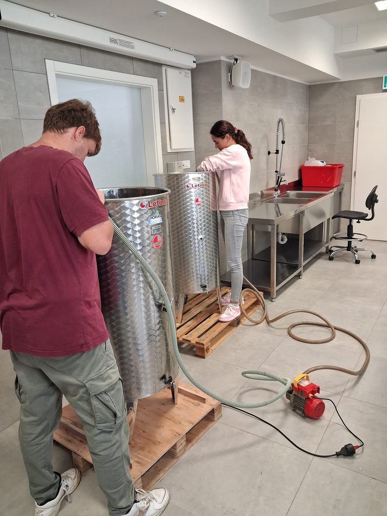 BERBA I PRERADA GROŽĐA 🍇🍷 img 20260923 wa0019