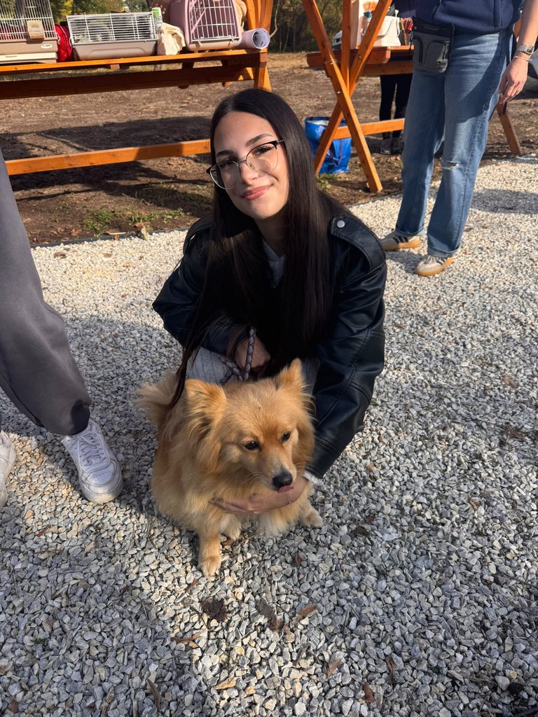 KAKO SMO OBILJEŽILI SVJETSKI DAN ZAŠTITE ŽIVOTINJA? 🐱🐶🤗 img 20261006 wa0010