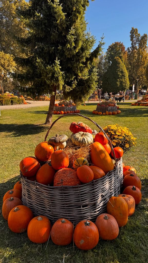 NAŠA UČENICA MARIJANA PETERLIN SUDJELOVALA NA 22. BUČIJADI U IVANIĆ-GRADU! 🎃🌻 img 20261006 wa0020