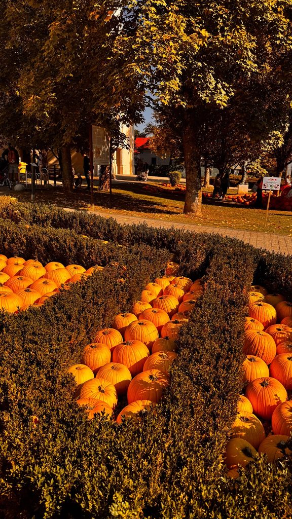 NAŠA UČENICA MARIJANA PETERLIN SUDJELOVALA NA 22. BUČIJADI U IVANIĆ-GRADU! 🎃🌻 img 20261006 wa0021