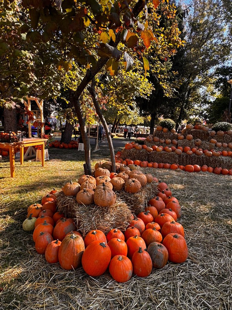 NAŠA UČENICA MARIJANA PETERLIN SUDJELOVALA NA 22. BUČIJADI U IVANIĆ-GRADU! 🎃🌻 img 20261006 wa0024