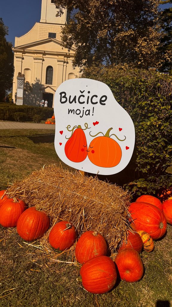 NAŠA UČENICA MARIJANA PETERLIN SUDJELOVALA NA 22. BUČIJADI U IVANIĆ-GRADU! 🎃🌻 img 20261006 wa0028