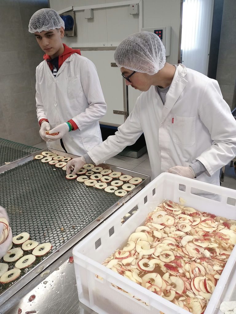 POČELA PROIZVODNJA U VOĆARSKOM PRAKTIKUMU 🤗🍎 img 20261008 wa0014