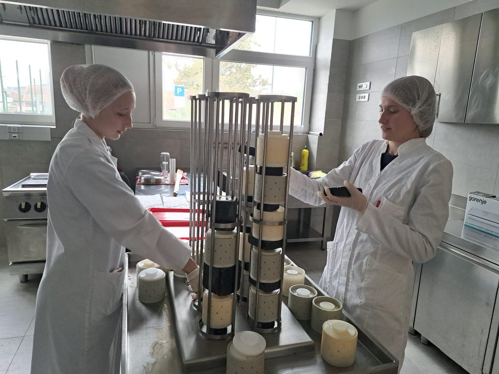PROIZVODNJA MEKANOG KRAVLJEG SIRA U MLJEKARSKOM PRAKTIKUMU 🥛 img 20261009 wa0014