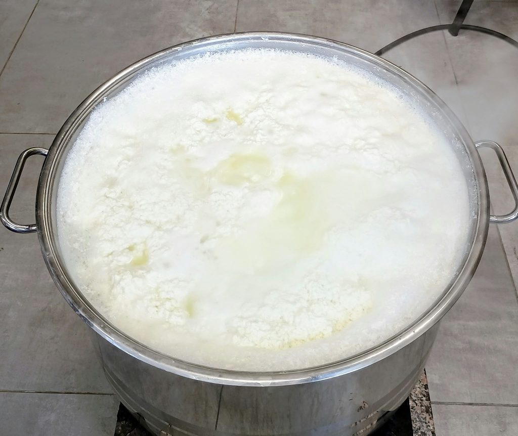 PROIZVODNJA MEKANOG KRAVLJEG SIRA U MLJEKARSKOM PRAKTIKUMU 🥛 img 20261009 wa0018